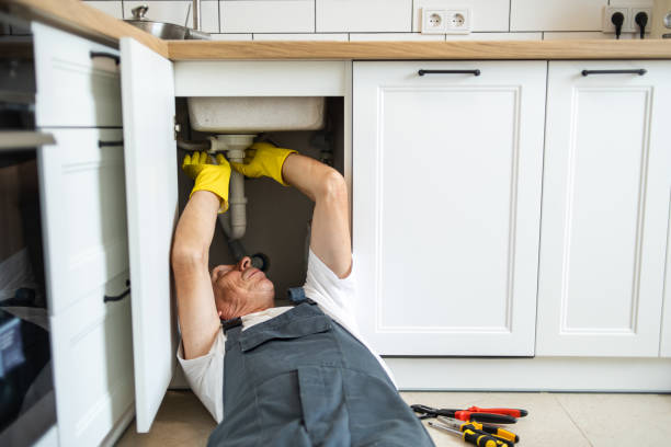 Best Clogged Drain Plumber  in Meridian, PA